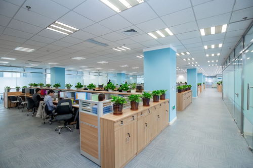 贴合高端装备制造需求，英特仿真以扎实自研驱动国产CAE软件自主化