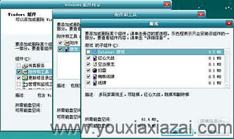 服务器软件入门指南 主流选择、安全下载与技术推广服务解析
